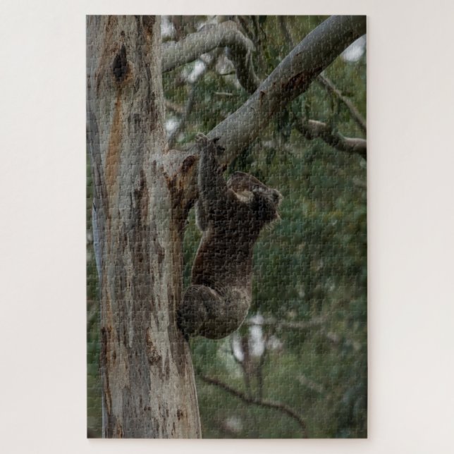 Koala Kletterbaum Australien, 1014 Stück Puzzle (Vertikal)