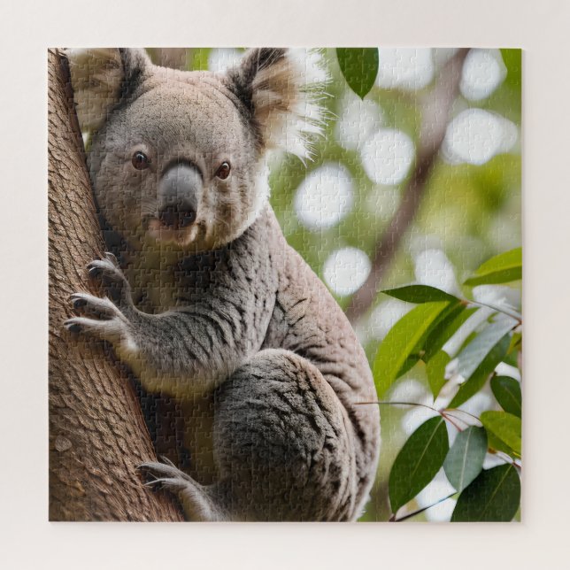 Koala Klettern Puzzle (Vertikal)