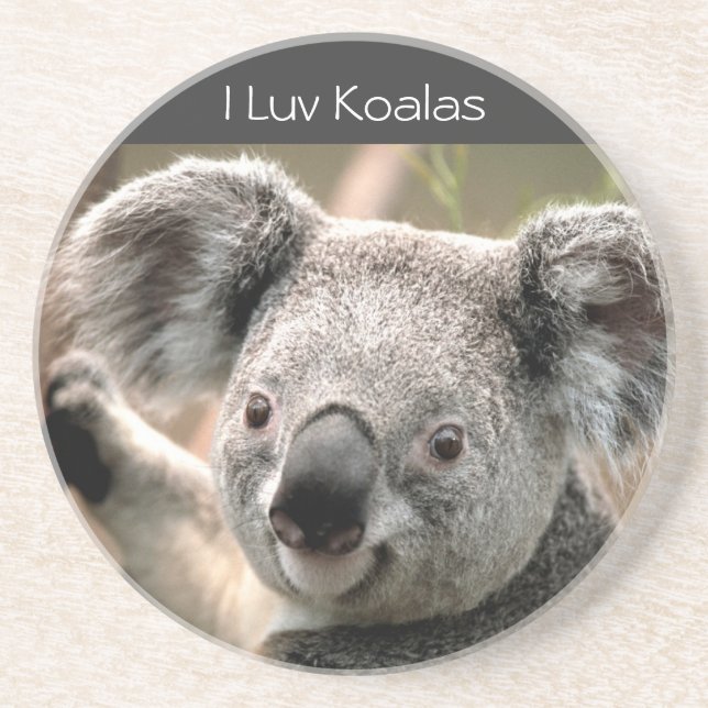 Koala, Koala I Luv Getränkeuntersetzer (Vorne)