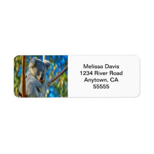 Koala Liebe Address Labels