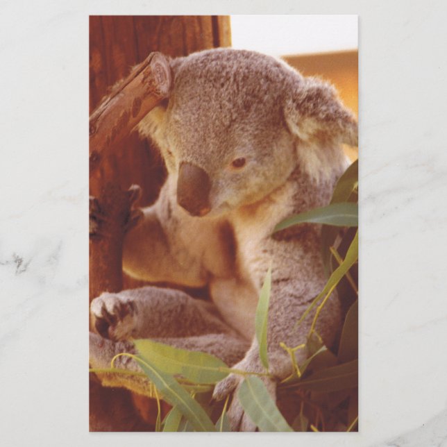 Koala Liebe Briefpapier (Vorderseite)