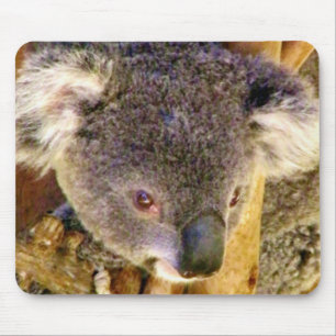 Koala Liebe_ Mousepad
