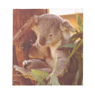 Koala Liebe Notizblock