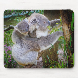 Koala Mama Sohn Mousepad