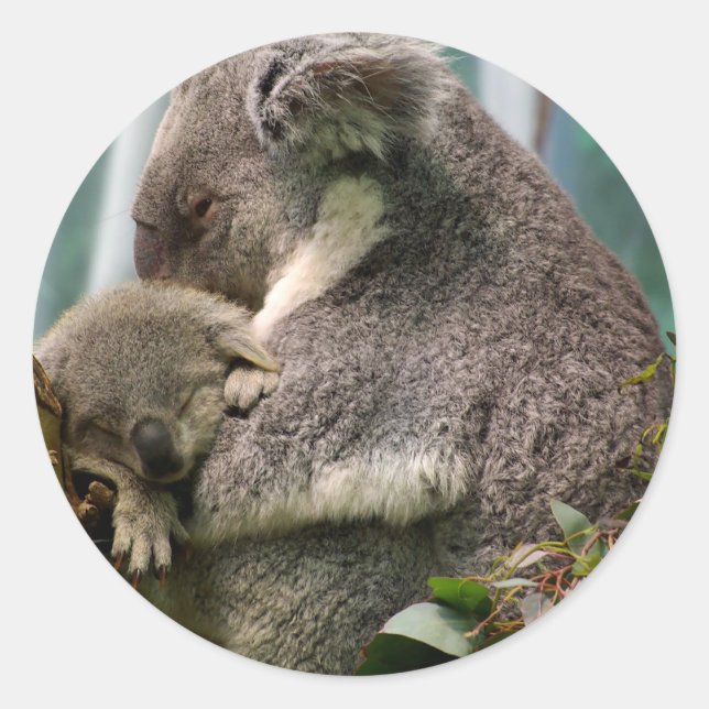 Koala Mama und New Baby Runder Aufkleber (Vorderseite)