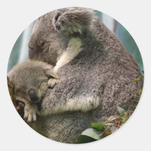 Koala Mama und New Baby Runder Aufkleber