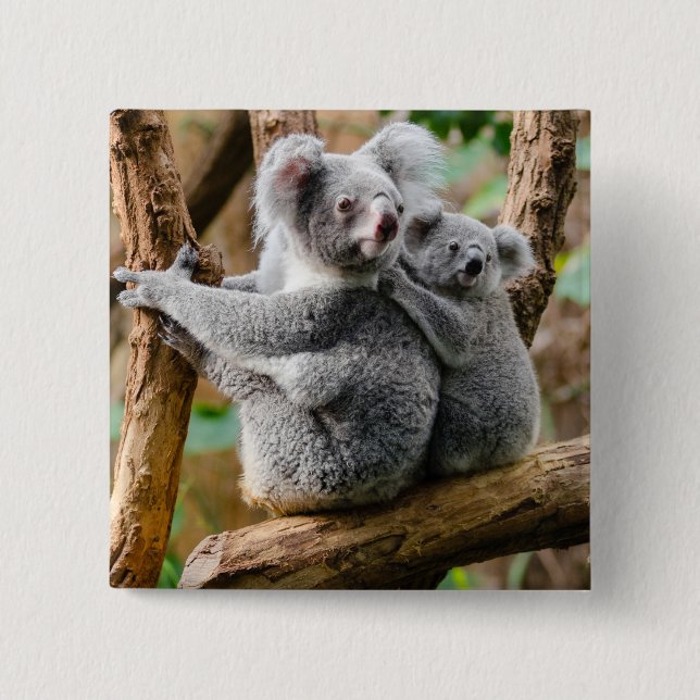Koala mit Baby in einem Baum in Australien Button (Vorderseite)