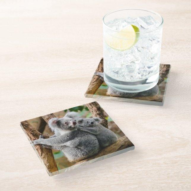 Koala mit Baby in einem Baum in Australien Glasuntersetzer (Schrägansicht)