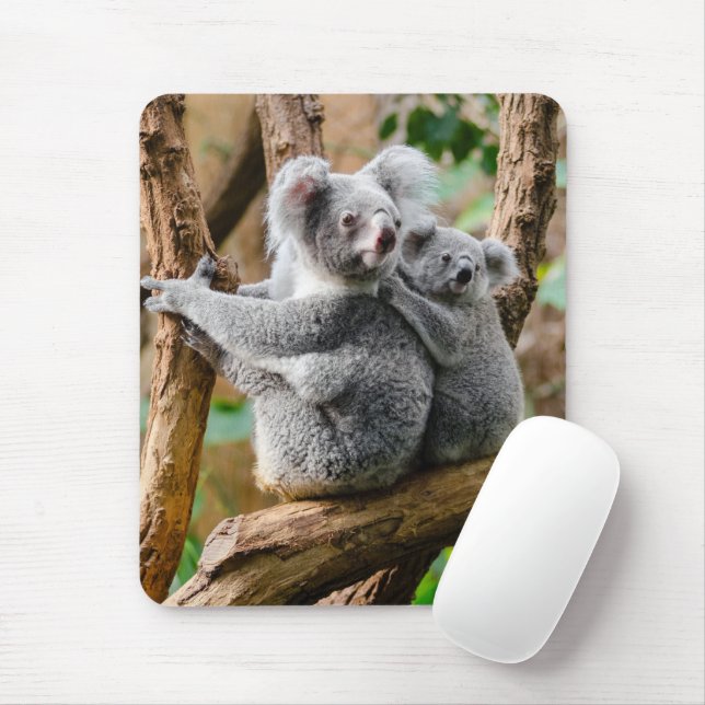 Koala mit Baby in einem Baum in Australien Mousepad (Mit Mouse)