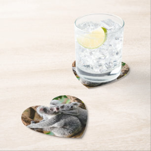 Koala mit Baby in einem Baum in Australien Untersetzer