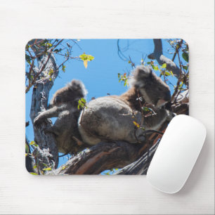 Koala mit Baby Joey in a Tree, Australien Wildlife Mousepad