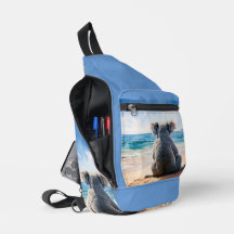 Koala mit Blick auf den Ozean