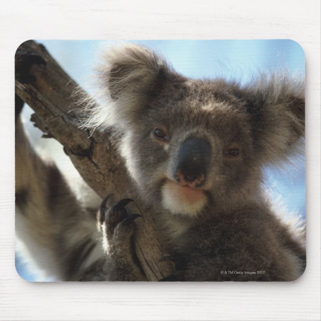 Koala Mousepad (Vorne)