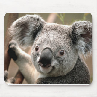 Koala Mousepad