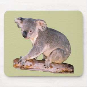 Koala Mousepadd Mousepad