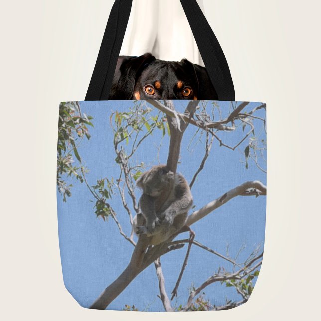 Koala Nickerchen (Von Creator hochgeladen)