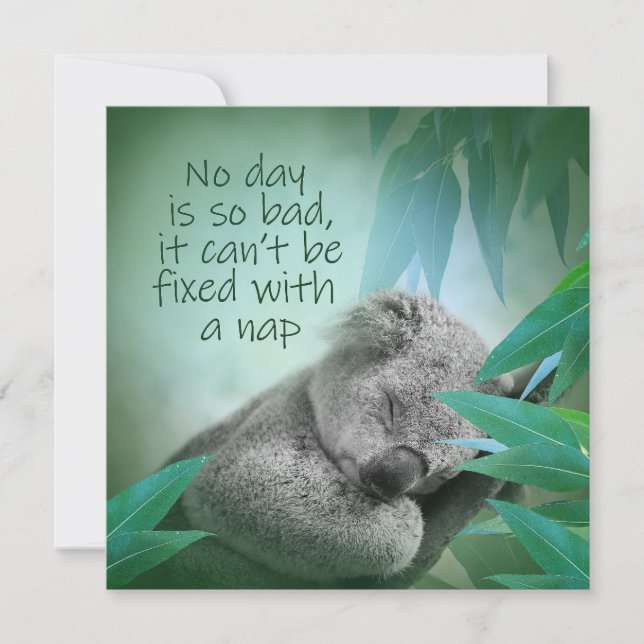 Koala Nickerchen Card Karte (Vorderseite)
