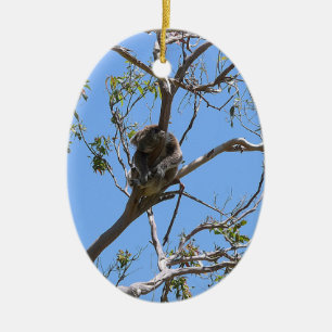 Koala Nickerchen Keramik Ornament