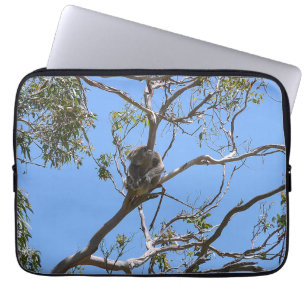 Koala Nickerchen Laptopschutzhülle