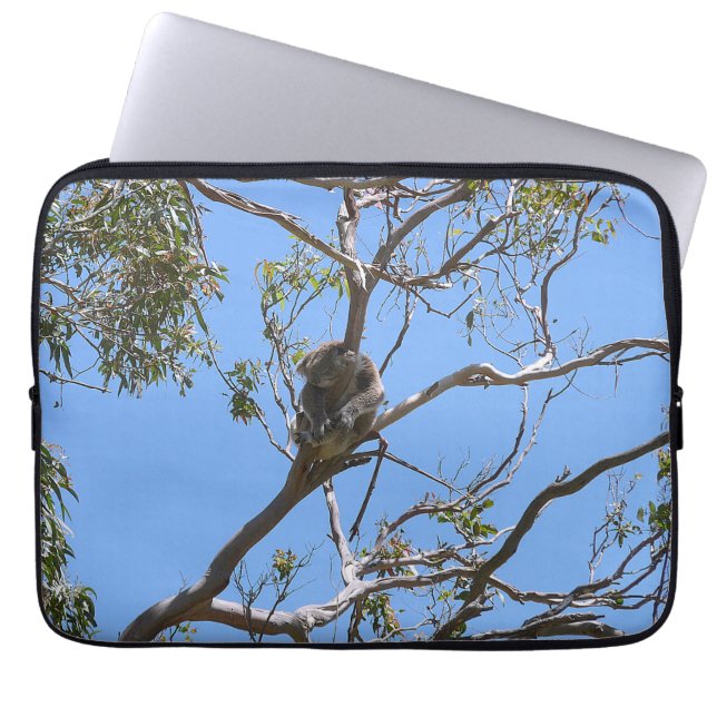 Koala Nickerchen Laptopschutzhülle (Vorderseite)
