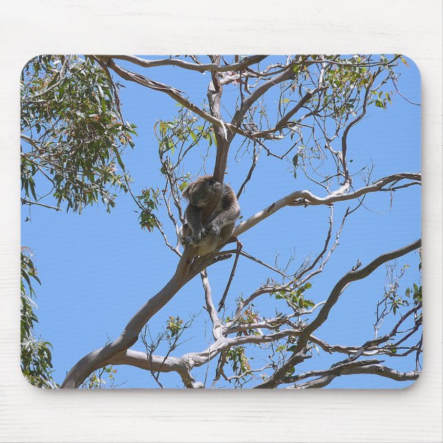 Koala Nickerchen Mousepad (Vorne)