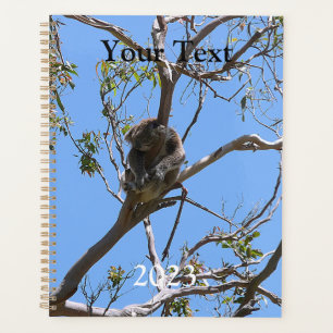 Koala Nickerchen Planer