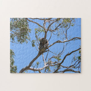 Koala Nickerchen Puzzle