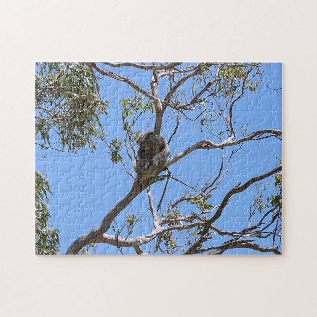 Koala Nickerchen Puzzle (Horizontal)