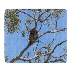 Koala Nickerchen Schneidebrett
