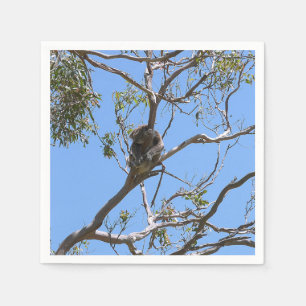 Koala Nickerchen Serviette