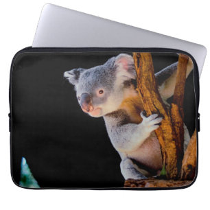Koala Niedlich in Tree Gray Laptopschutzhülle