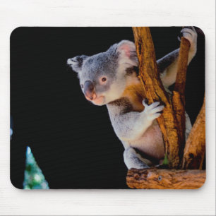 Koala Niedlich in Tree Gray Mousepad