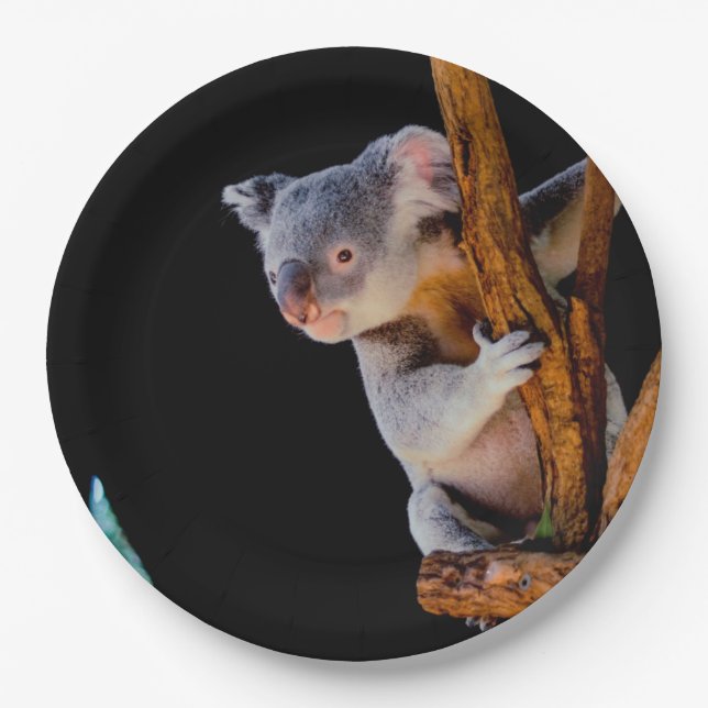 Koala Niedlich in Tree Gray Pappteller (Vorderseite)