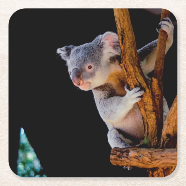 Koala Niedlich in Tree Gray Rechteckiger Pappuntersetzer (Vorderseite)