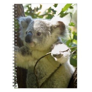 Koala Notizblock