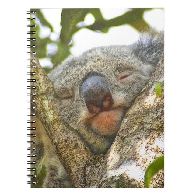 Koala-Notizbuch Notizblock (Vorderseite)