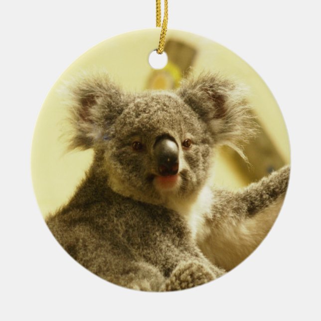 Koala Ornament (Vorne)