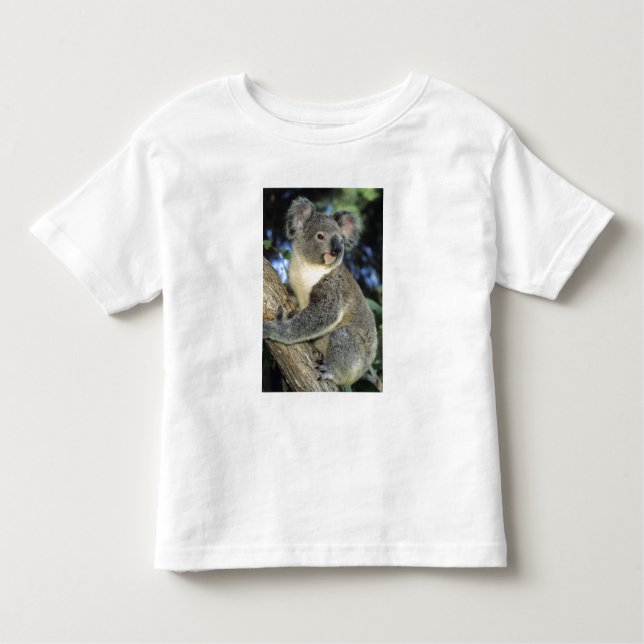 Koala, Phascolarctos cinereus, Australien Kleinkind T-shirt (Vorderseite)