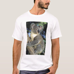 Koala, Phascolarctos cinereus, Australien T-Shirt