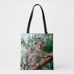 Koala, Phascolarctos cinereus, Frauen, die dich tr