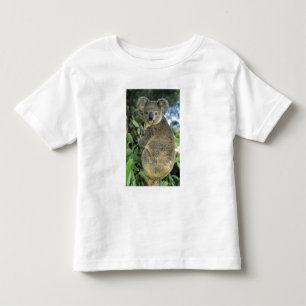 Koala, Phascolarctos cinereus), gefährdet, Kleinkind T-shirt