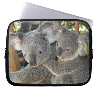 Koala Phascolarctos cinereus Queensland . Laptopschutzhülle