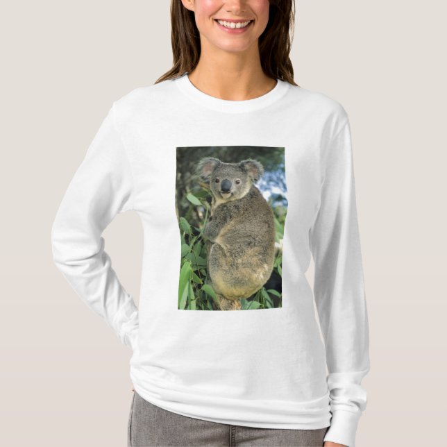Koala, Phascolarctos cinereus), vom Aussterben bed T-Shirt (Vorderseite)