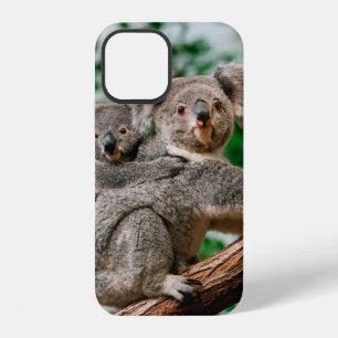 Koala, Phascolarctos cinereus, Weibchen trägt Jung iPhone 12 Hülle