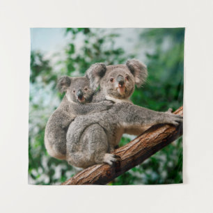Koala, Phascolarctos cinereus, Weibchen trägt Jung Wandteppich