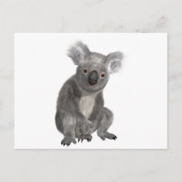 Koala Postkarte