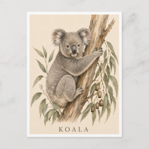 Koala-Postkarte Bush Edition Postkarte
