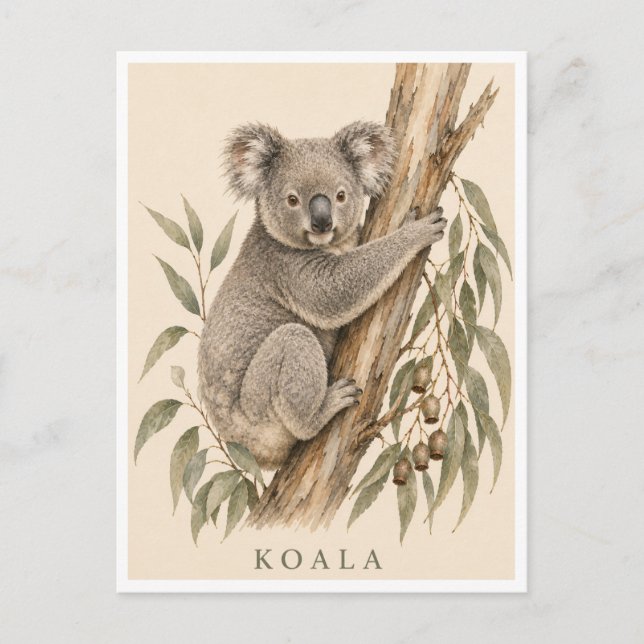 Koala-Postkarte | Bush Edition Postkarte (Vorderseite)