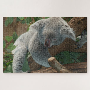 Koala Puzzle