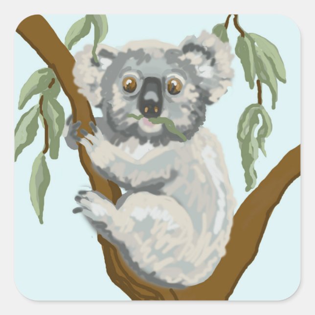 Koala Quadratischer Aufkleber (Vorderseite)